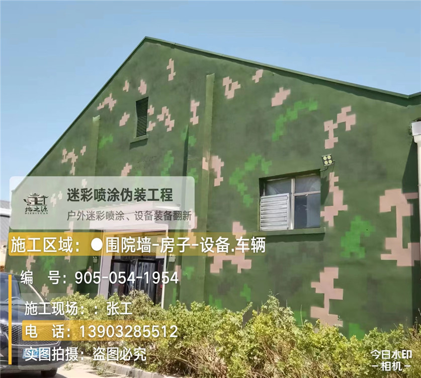 海南藏族外墙数码迷彩漆施工报价清单（100㎡标准墙面测算）